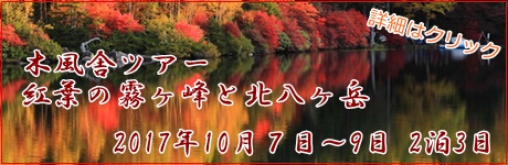 風舎主催主催 紅葉の霧ヶ峰と北八ヶ岳