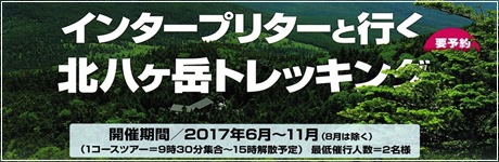 北八ヶ岳トレッキング