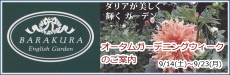 9/14（土）?9/23（月）ダリアが美しく輝くガーデン