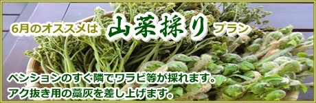 ぽっかり雲の6月のオススメ山菜プラン