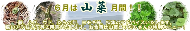 6月はぽっかり雲の山菜月間