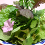 ぽっかり雲のサラダ