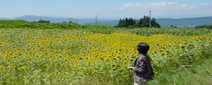 北八ヶ岳周辺をウォーキング