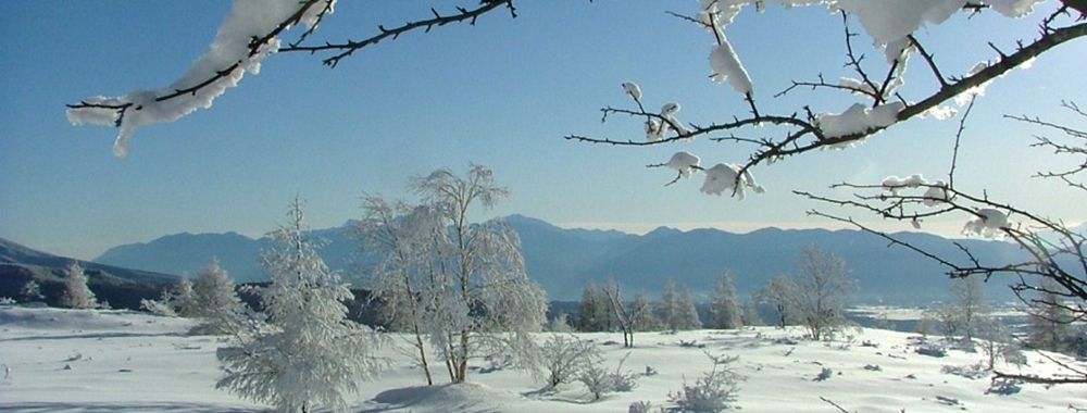 白銀の世界と八ヶ岳の冬